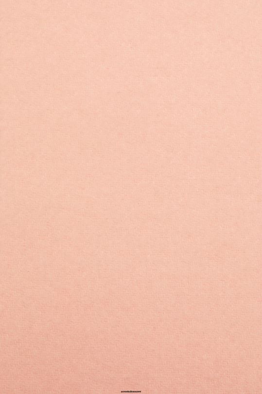 Acne Studios Lisätarvikkeet persikan pinkki 0VF2B869 hapsuvillahuivi - kapea